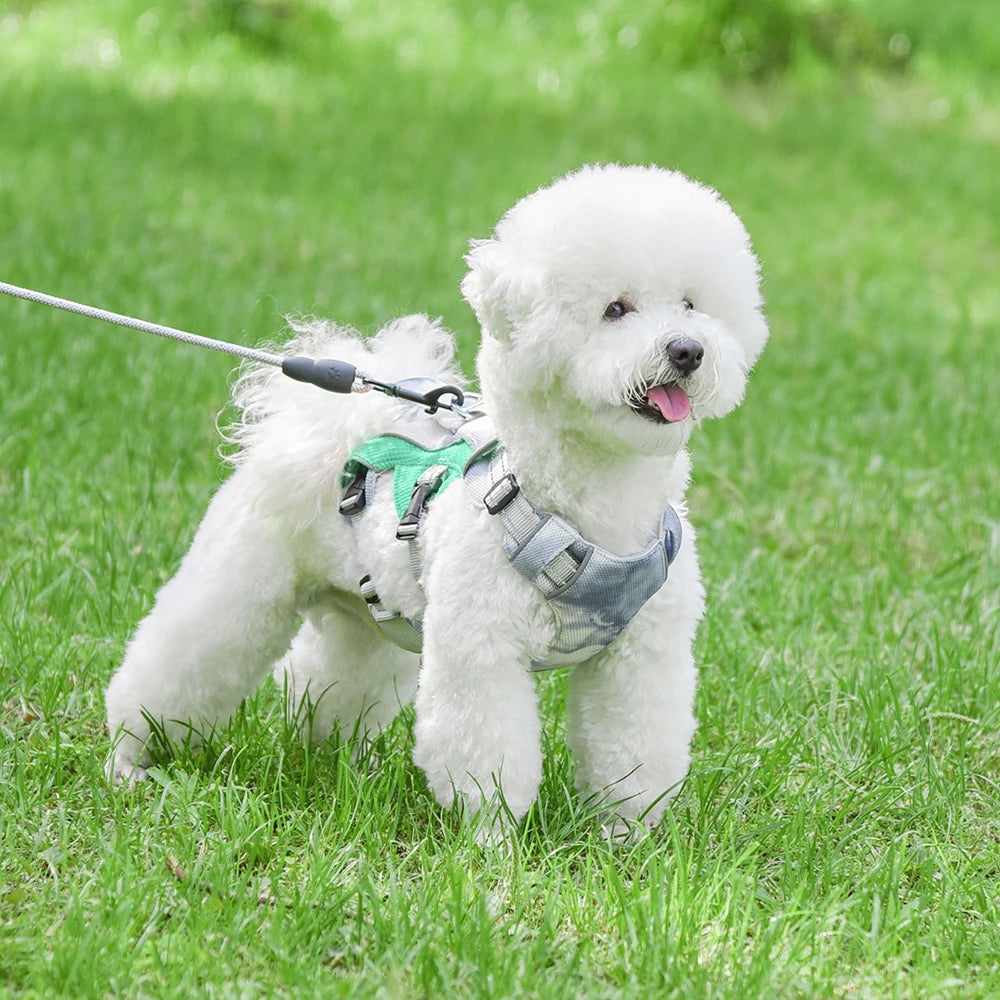 Summer Ice Cooling Dog Harness Vest Reflective Pet Harness Clothes for Small Medium Large Dogs Outdoor Pet Cool Down Jackets