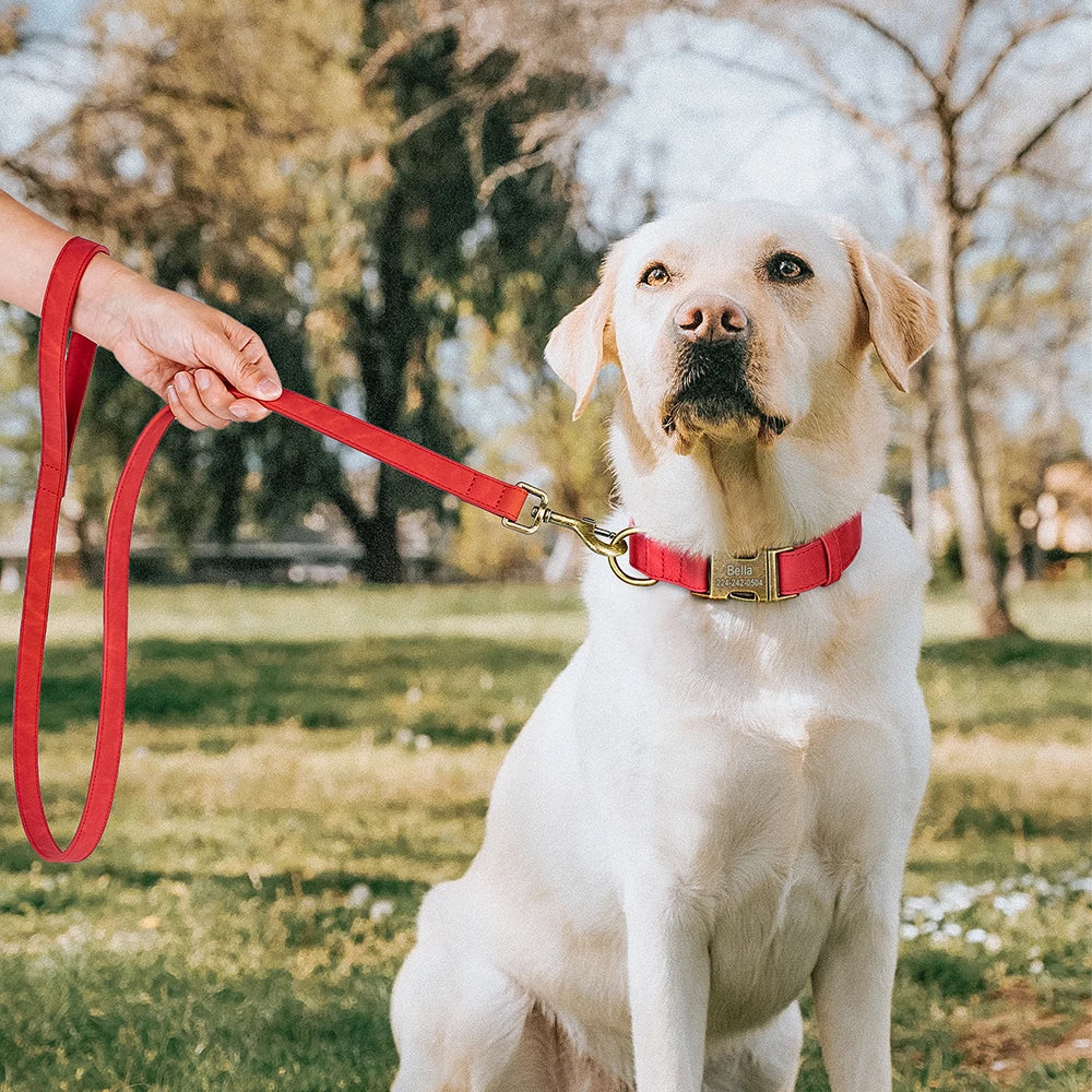 🦴 Personalized Dog Collars Collection – Custom Engraved, Stylish & Secure 🐾