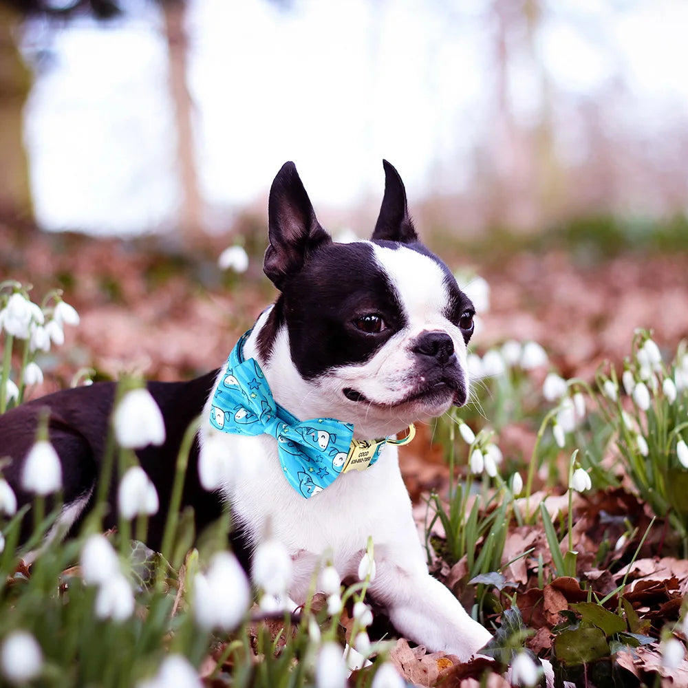 Personalized Flower Dog Collar with Bowtie – Free Engraving, Adjustable Sizes