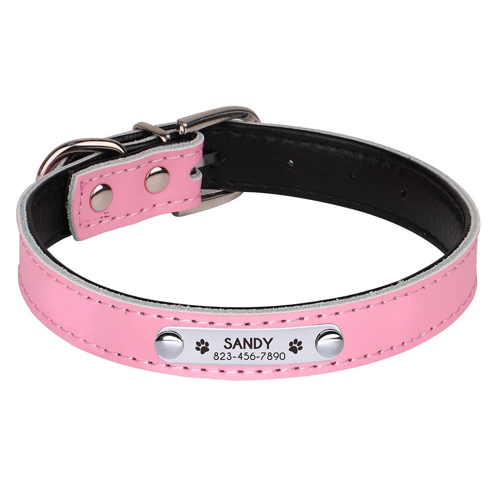 Custom Engraved Dog Collar – Personalized Puppy & Cat Collar with Nameplate – Adjustable for Small to Medium Dogs & Cats – Chihuahua, Pug, Yorkie