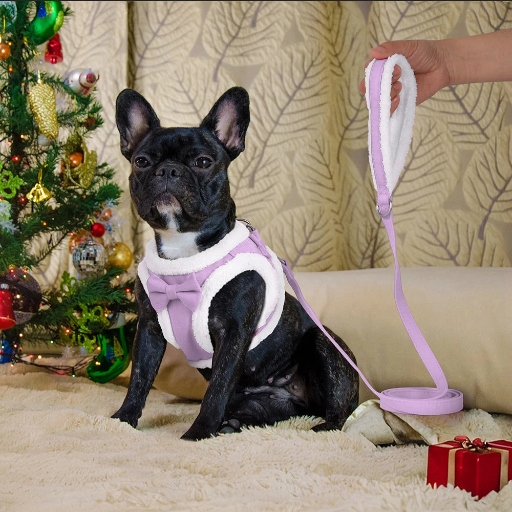 Winter Warm Dog Harness Leash Set – Soft Fleece Pet Vest with Bowtie for Small & Medium Dogs