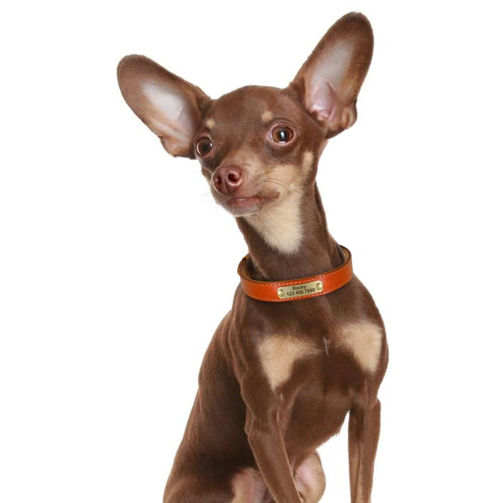 Custom Dog Collar – Personalized ID Tag Collar for Small, Medium, and Large Dogs