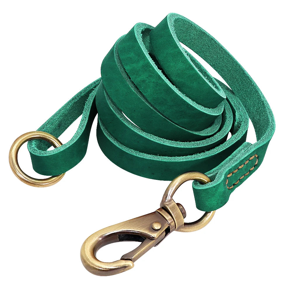 🦴 Custom Leather Dog Collar & Leash Set — Personalized for Safety & Style 🐾