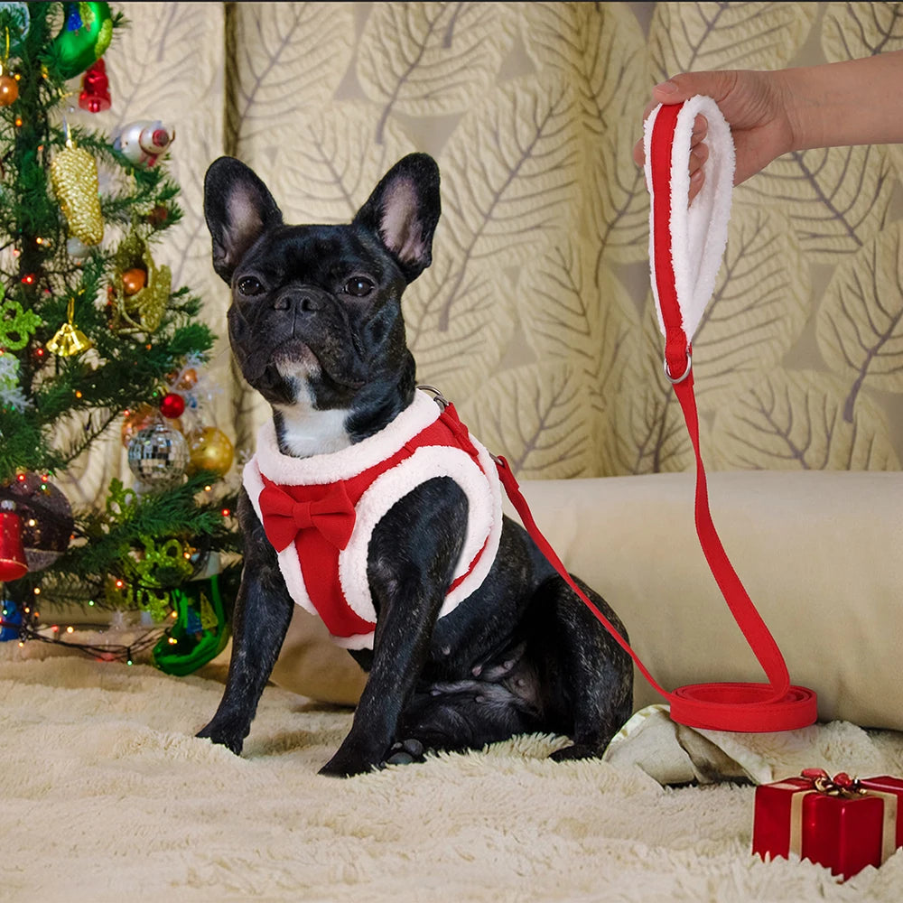 Winter Warm Dog Harness Leash Set – Soft Fleece Pet Vest with Bowtie for Small & Medium Dogs