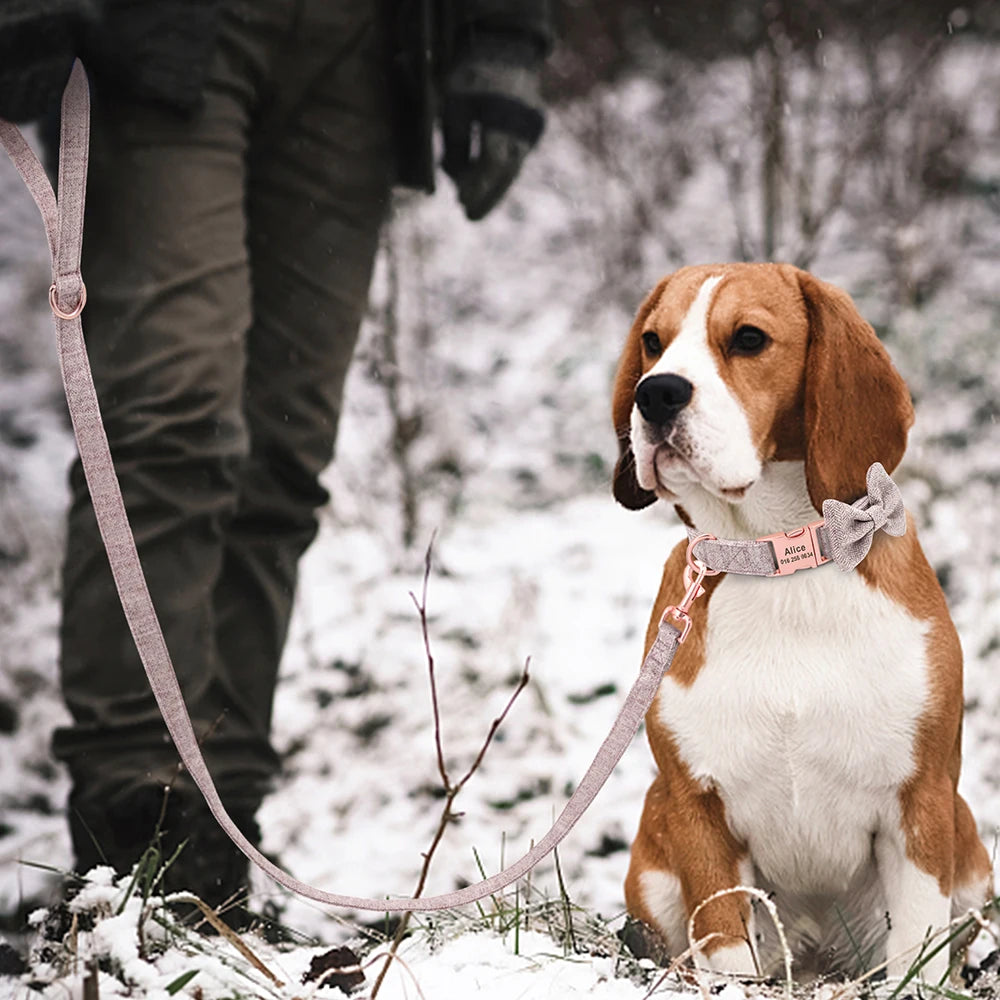 Customized Dog Collar & Leash Set – Personalized Pet Collars with Bowtie & Free Engraving