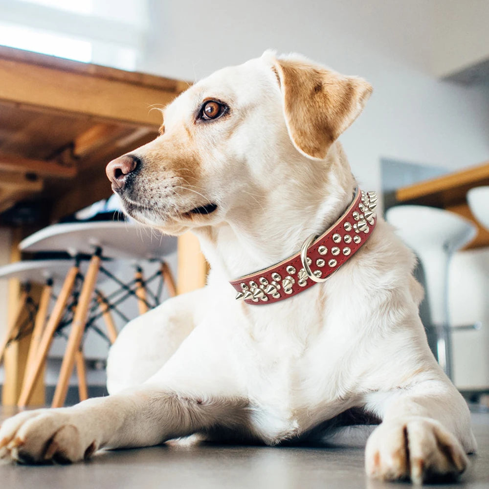 Spiked Studded Leather Dog Collar – Adjustable Anti-Bite Bulldog Collar for Small, Medium & Large Dogs