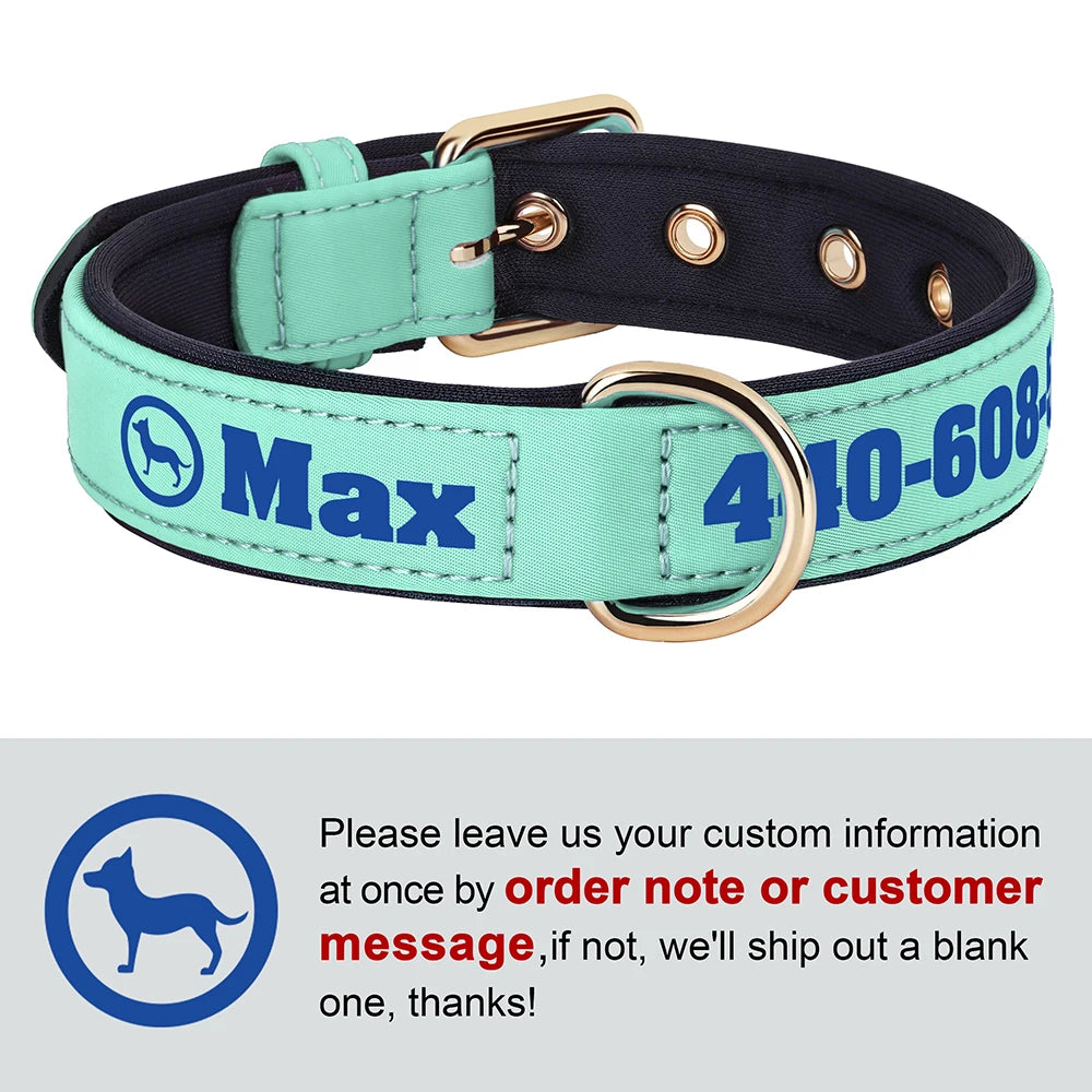Custom Leather Dog Collar – Free Name & Number | Soft Padded & Adjustable