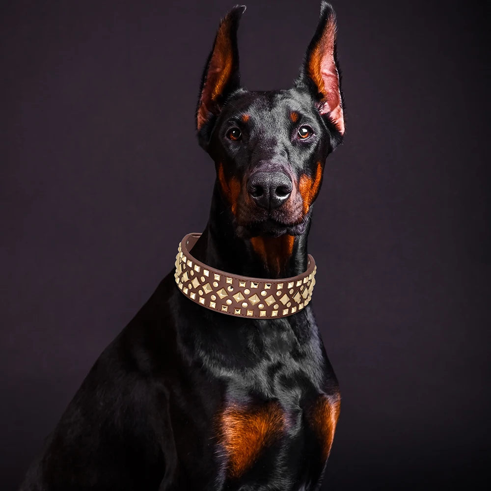 Luxurious Leather Spiked Dog Collar – Adjustable for Medium & Large Dogs