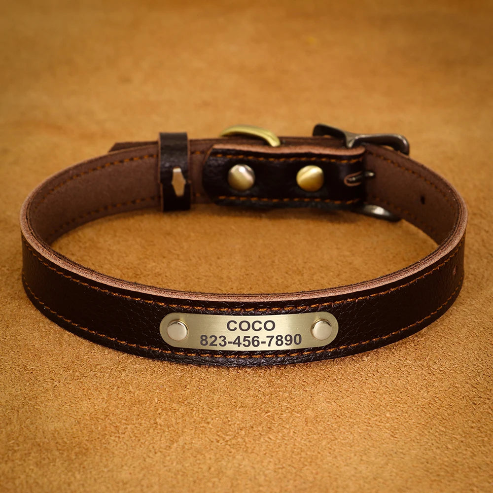 Personalized Genuine Leather Pet Puppy Collar For Small Dogs Cats
