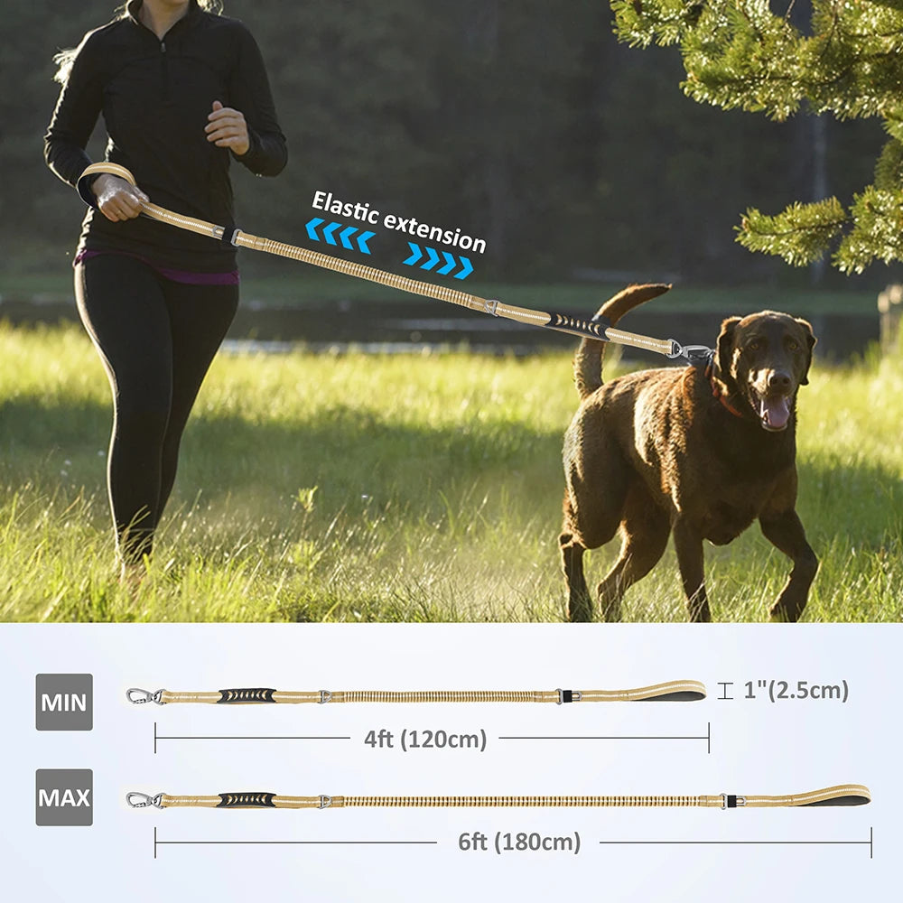 Reflective Dog Leash with Car Seat Belt Clip – Durable Lead for Medium & Large Dogs (Running, Walking, Training)