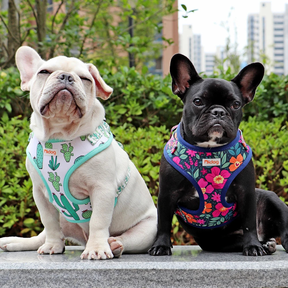 Fashion Printed Nylon Dog Harness Reflective French Bulldog Pug Harness Dog Vest For Small Medium Dogs Cats Walking Training