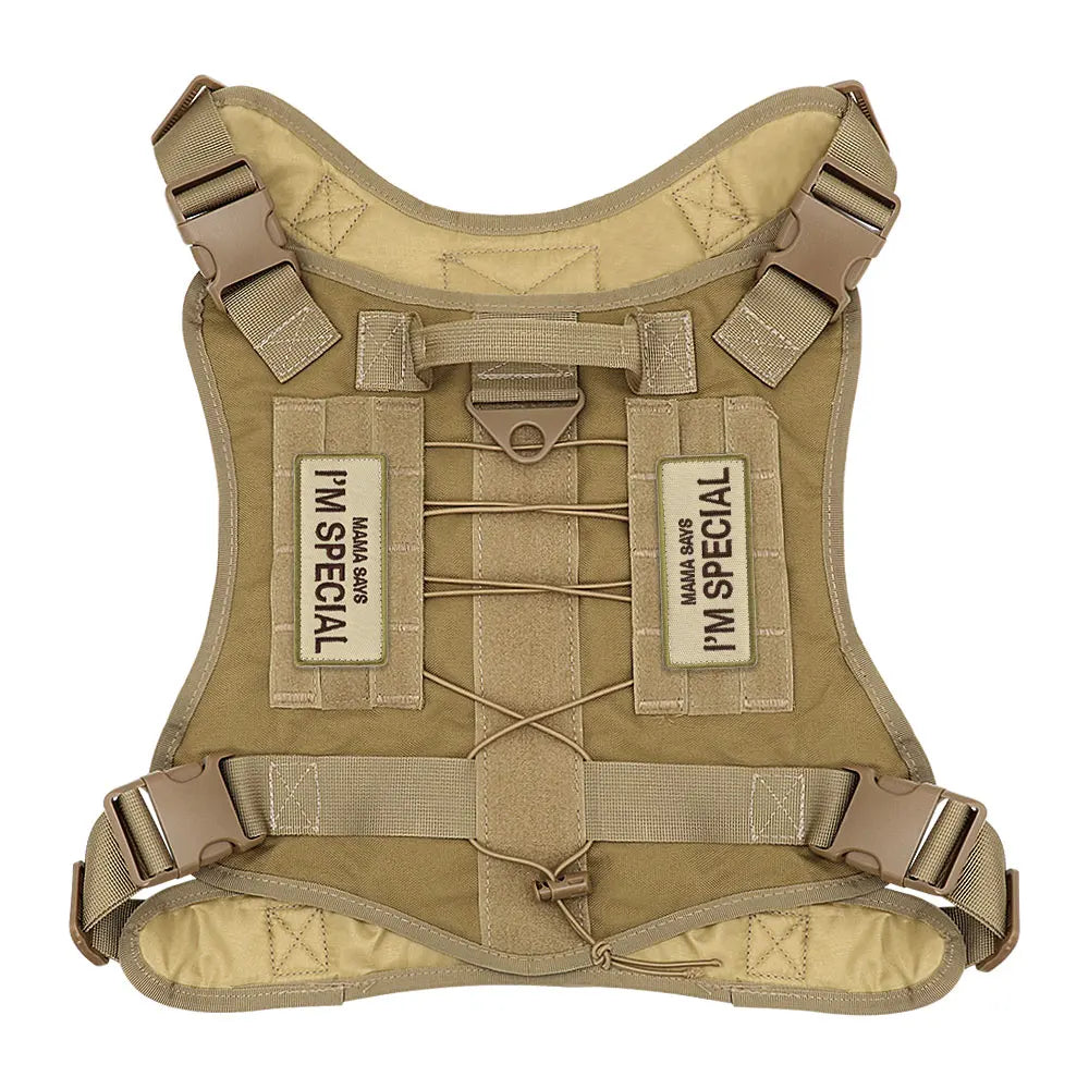 Dog Harness & Collar Patch Tags – “I’m Special”, “In Training”, “No Touch No Talk No Eye Contact”