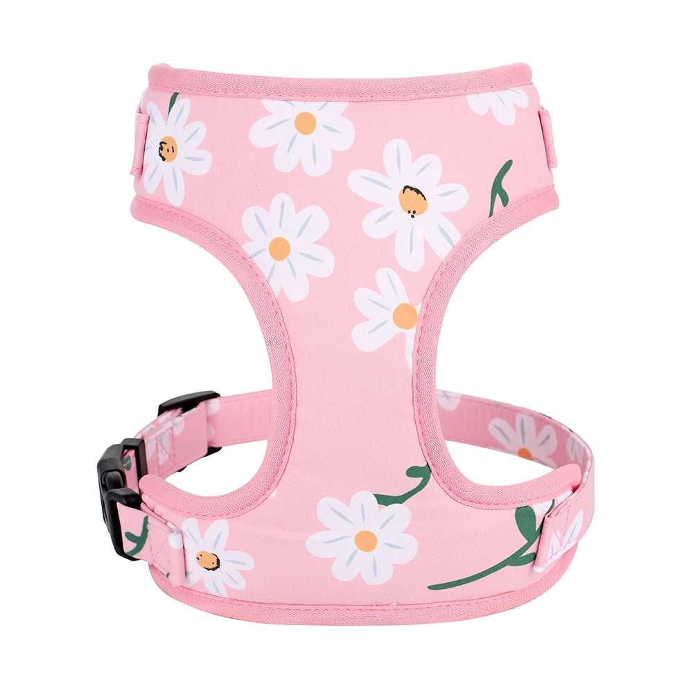Fashion Printed Dog Harness – Breathable Nylon Mesh Vest for Small, Medium & Large Dogs (French Bulldog, Pug, Chihuahua, Yorkie)