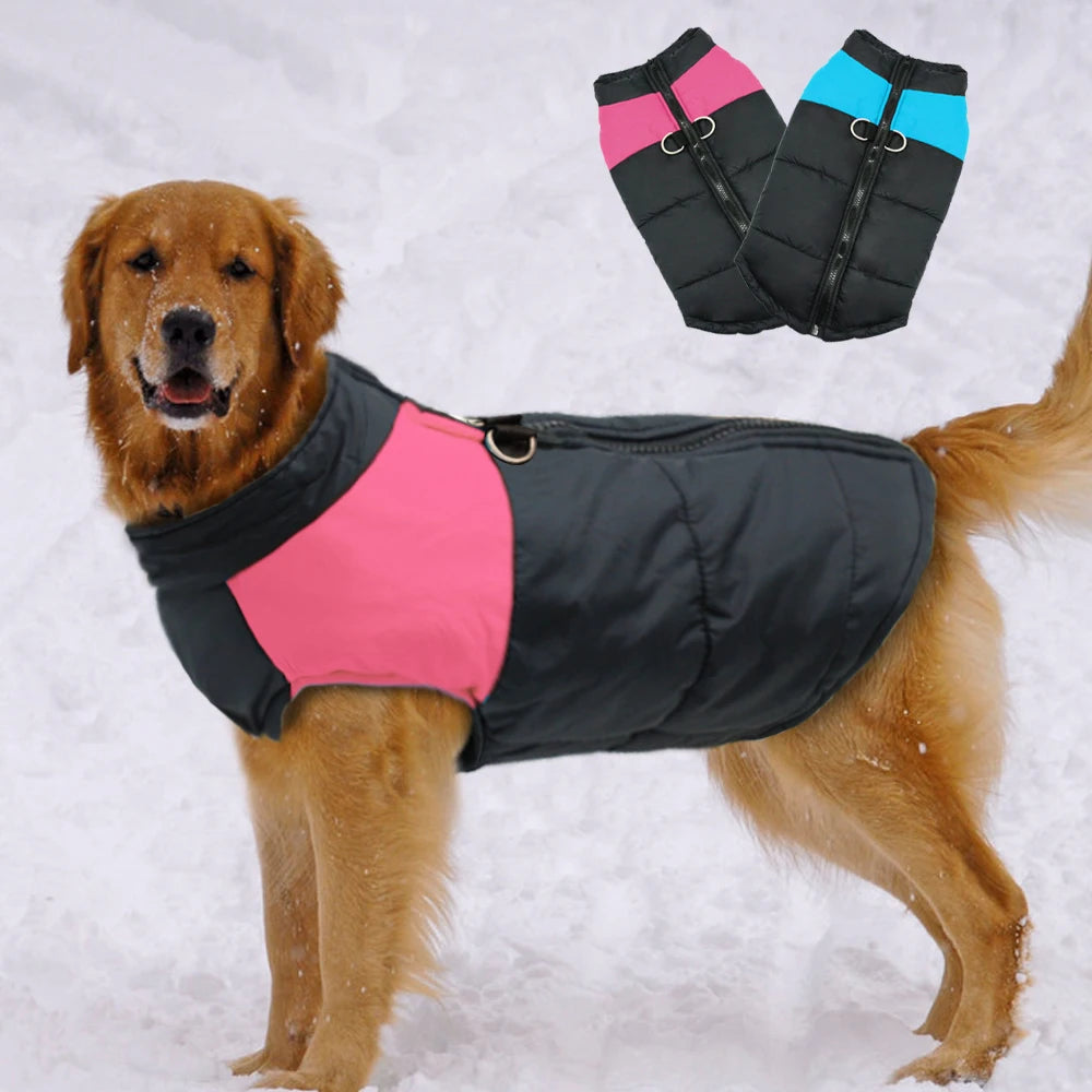 Large Dog Winter Jacket – Waterproof Padded Coat for French Bulldog, Labrador & Golden Retriever (2XL-7XL)