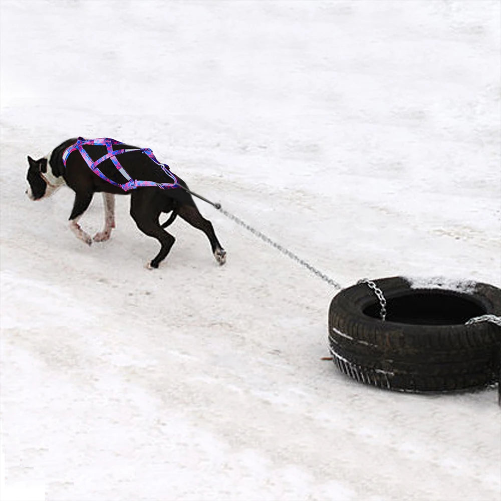 Big Dog Sledding Harness – Reflective X-Back Weight Pulling Harness for Medium & Large Dogs (Husky, Canicross, Skijoring, Bikejoring, Scootering)
