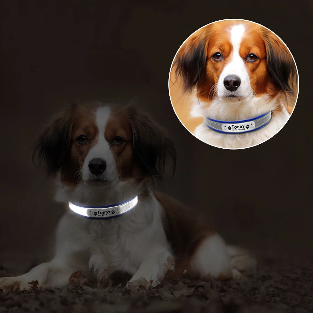 Reflective Personalized Dog Collar with Free Engraving – Adjustable for Small & Medium Pets