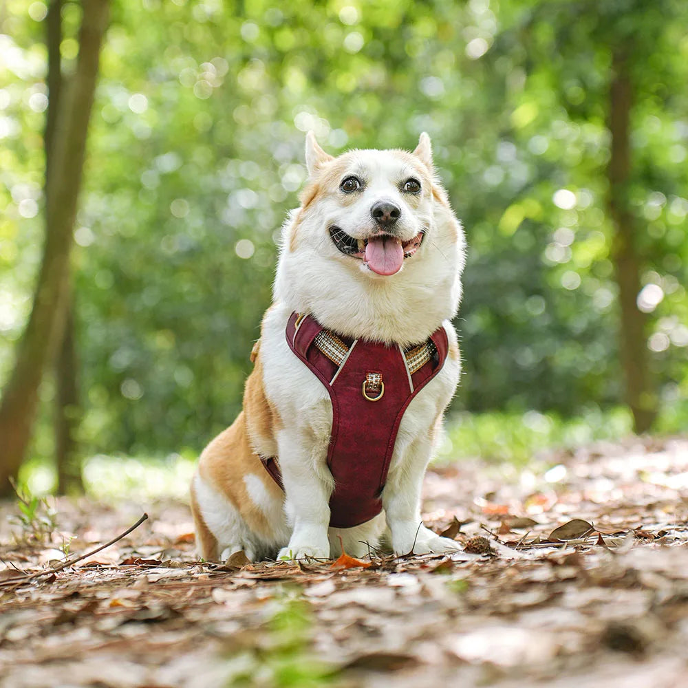 Waterproof Dog Harness – Reflective Nylon Harness Vest for Dogs