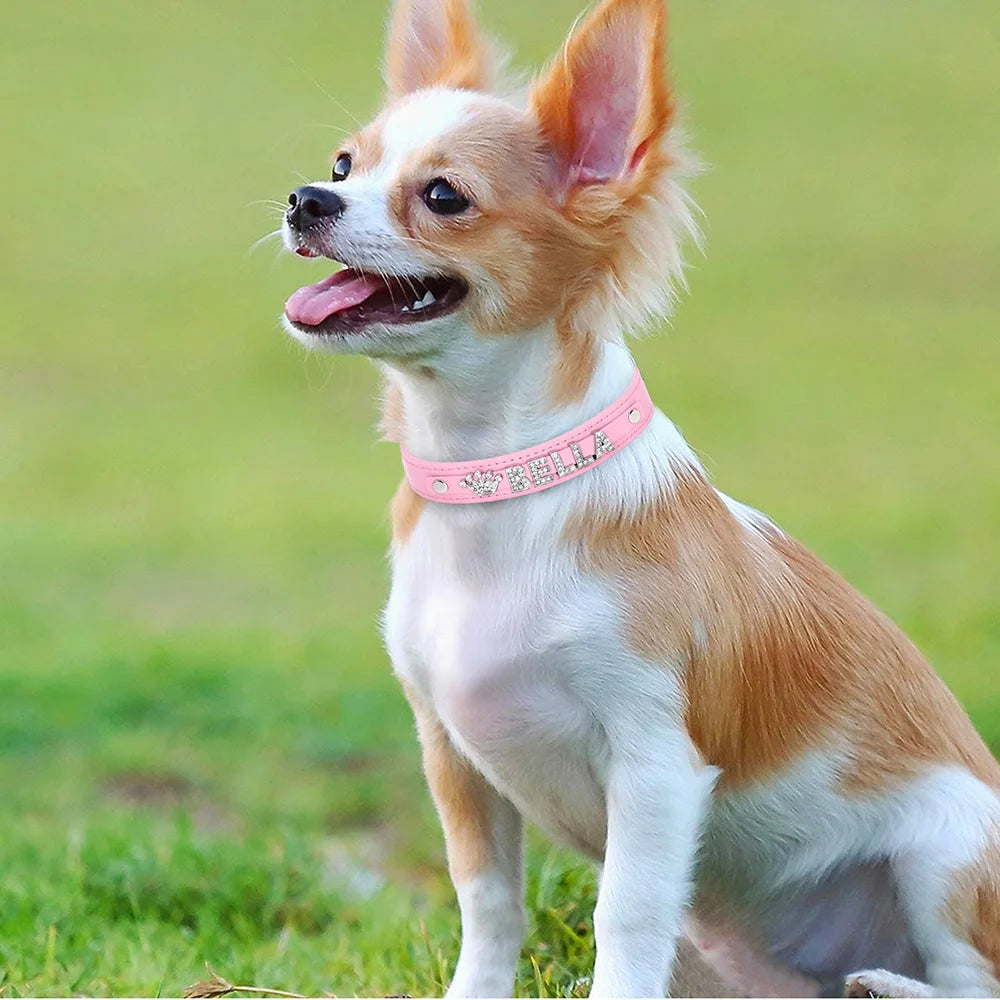 ✨ Personalized Bling Rhinestone Dog Collar – For Small Dogs & Cats ✨