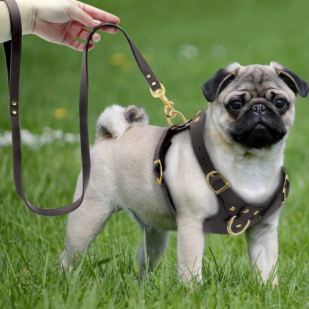Genuine Leather Dog Harness Vest & Leash Set – Adjustable Pet Harness for Small & Medium Dogs (Pug, Beagle, Bulldog, Brown)