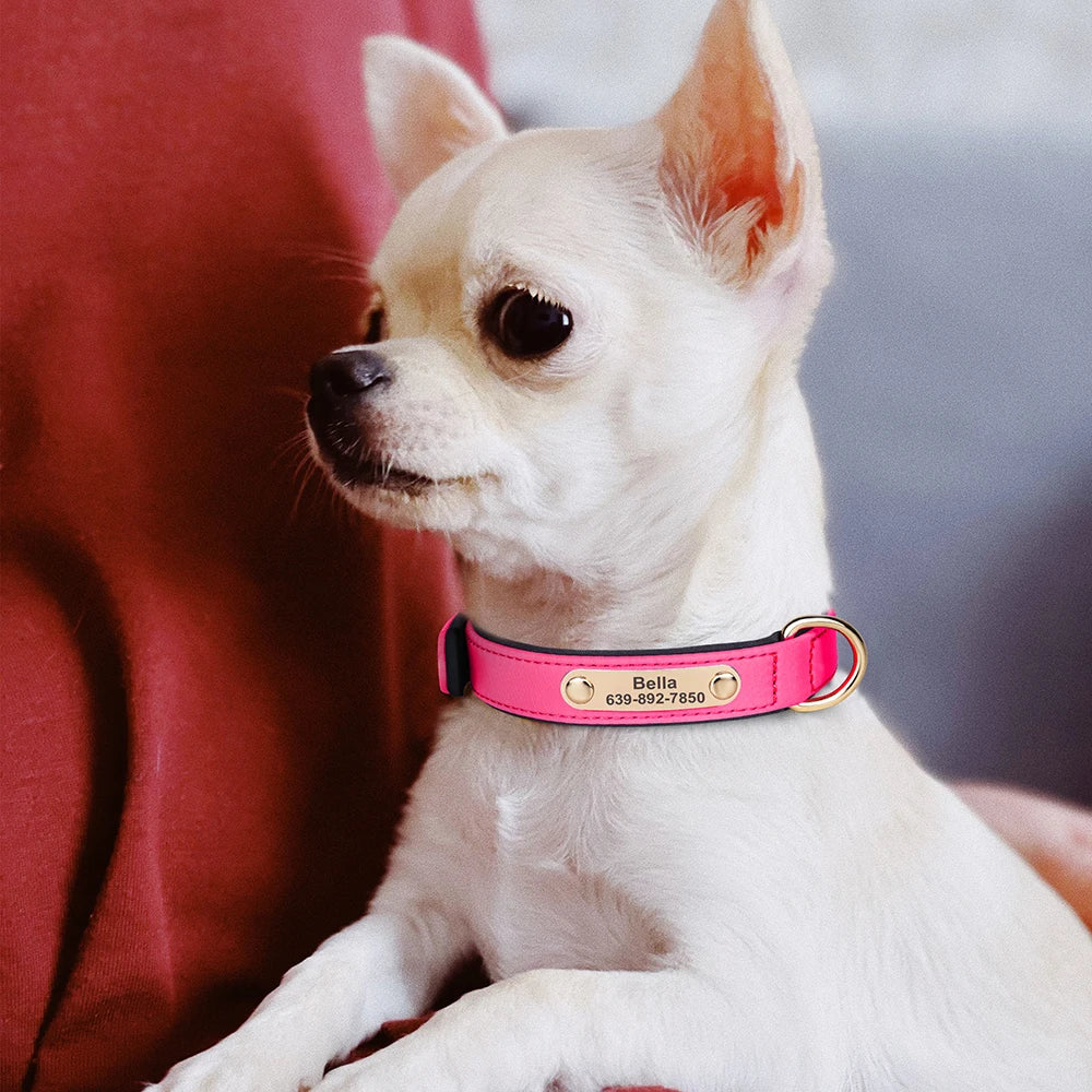 Custom Nylon Dog Collar – Waterproof Personalized Pet Collar with Engraved ID Nameplate for Small & Medium Dogs