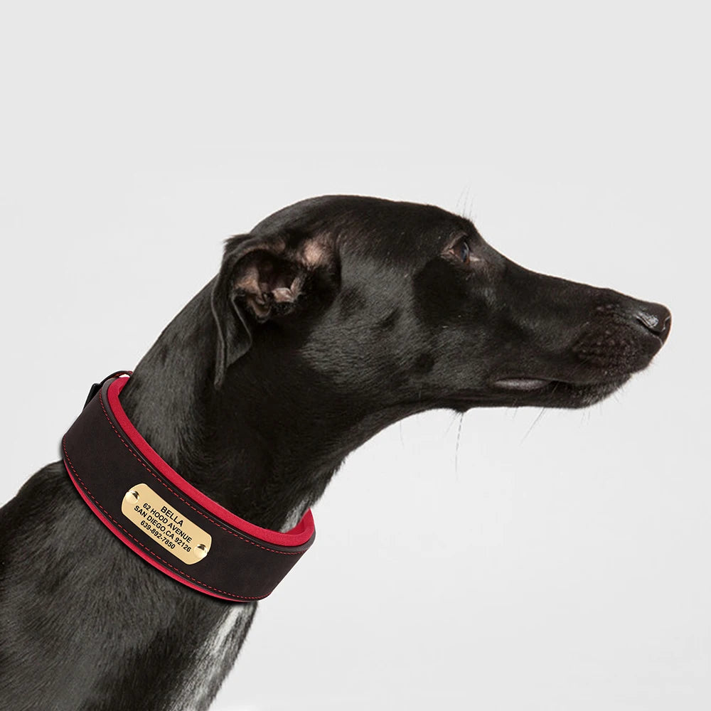 Customized Engraved Wide Leather Dog Collar – Soft Padded for Medium & Large Dogs