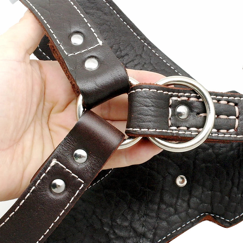 Genuine Leather Dog Harness – Durable Adjustable Large Dog Vest with Quick Control Handle &amp; Heavy-Duty Hardware (Pitbull, Bulldog, Labrador)