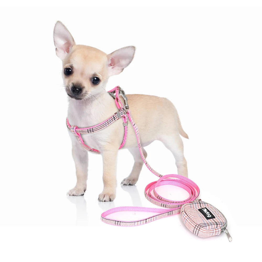 Adjustable Pet Harness & Leash Set – Soft Nylon Dog & Cat Vest