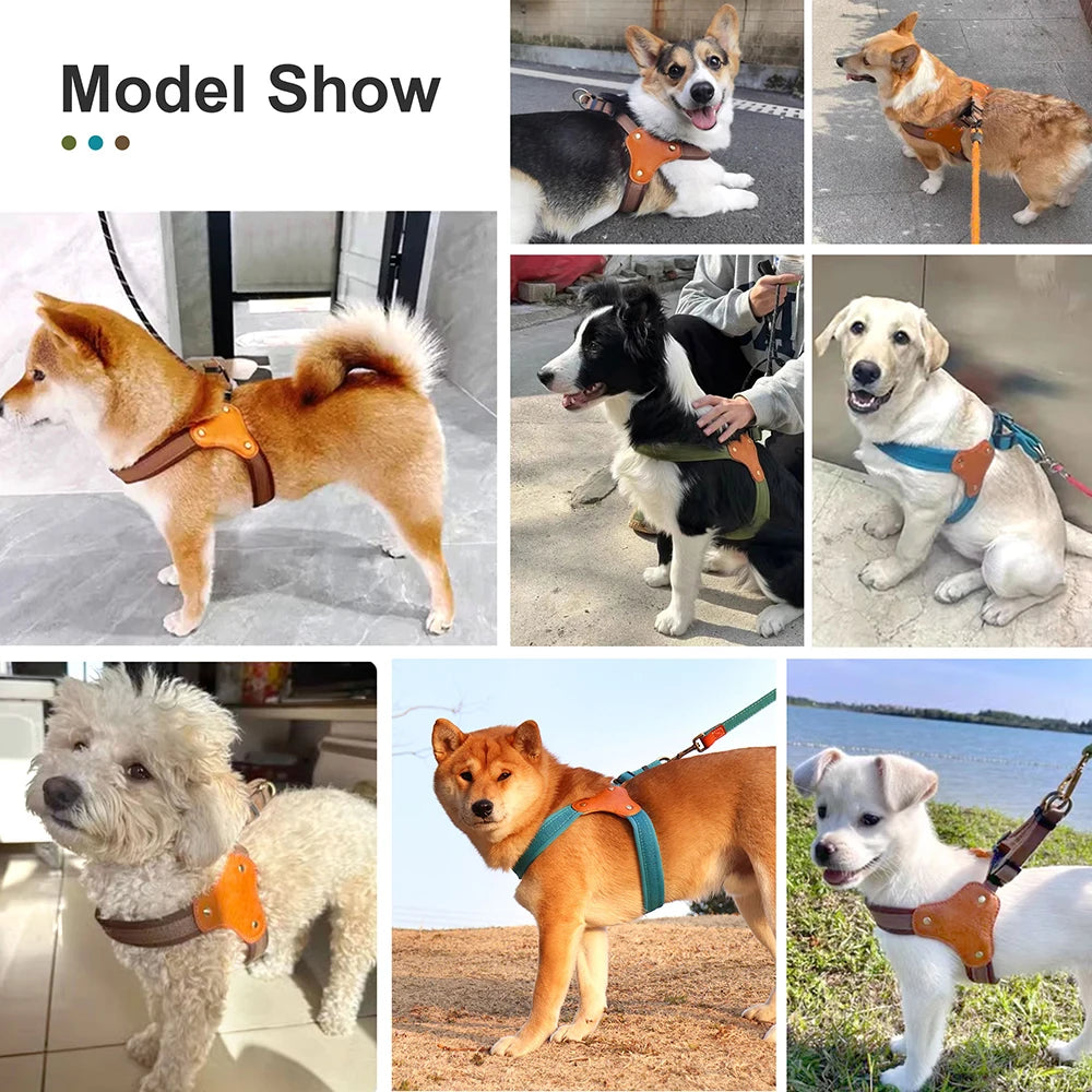 Nylon Leather Padded Dog Harness Vest Durable Pet Harness For Medium Large Dogs French Bulldog Labrador Walking Training