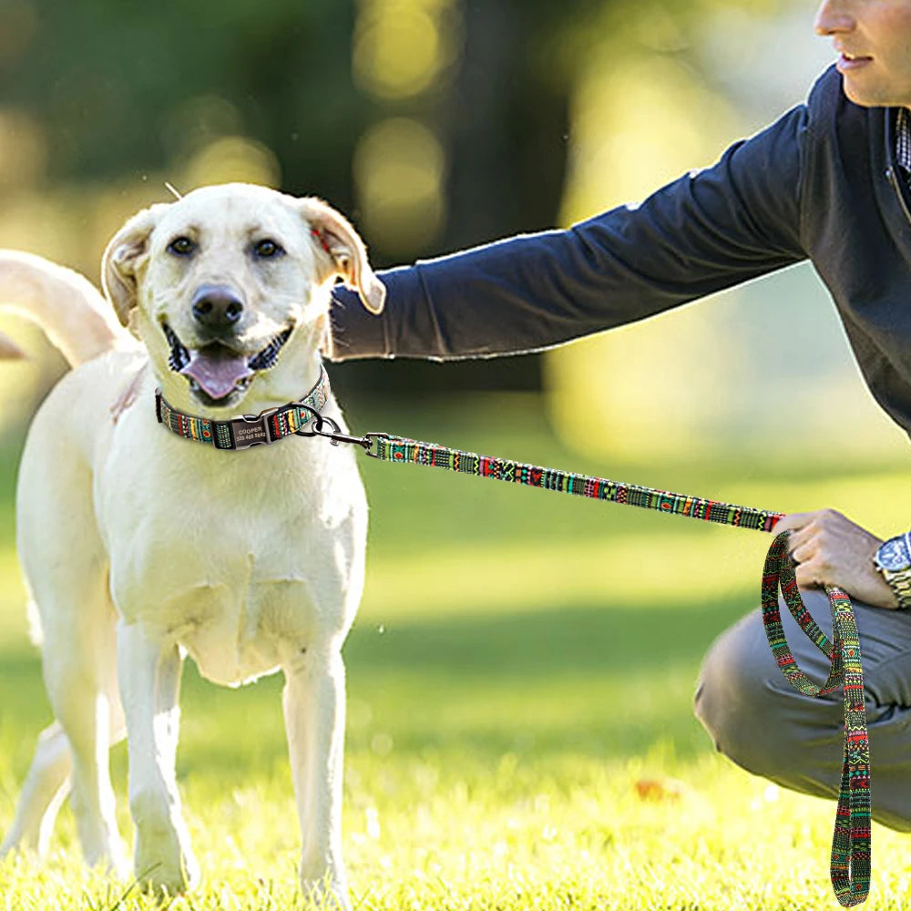 Durable Nylon Printed Dog Leash – 5 Colors Rope Lead for Small, Medium & Large Dogs (Walking, Training & Running)