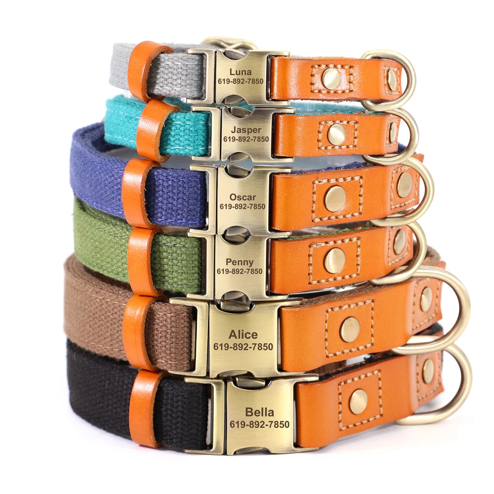 Nylon Custom Dog Collar & Leash Set – Personalized with Leather Nameplate