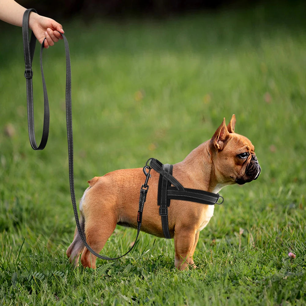 Nylon Reflective Dog Leash – Soft &amp; Durable Pet Lead