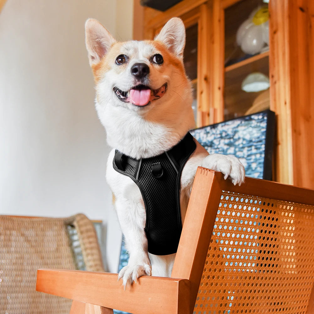 No Pull Nylon Mesh Dog Harness Breathable Pet Harnesses Vest For Medium Large Dogs Reflective Dog Chest Strap French Bulldog