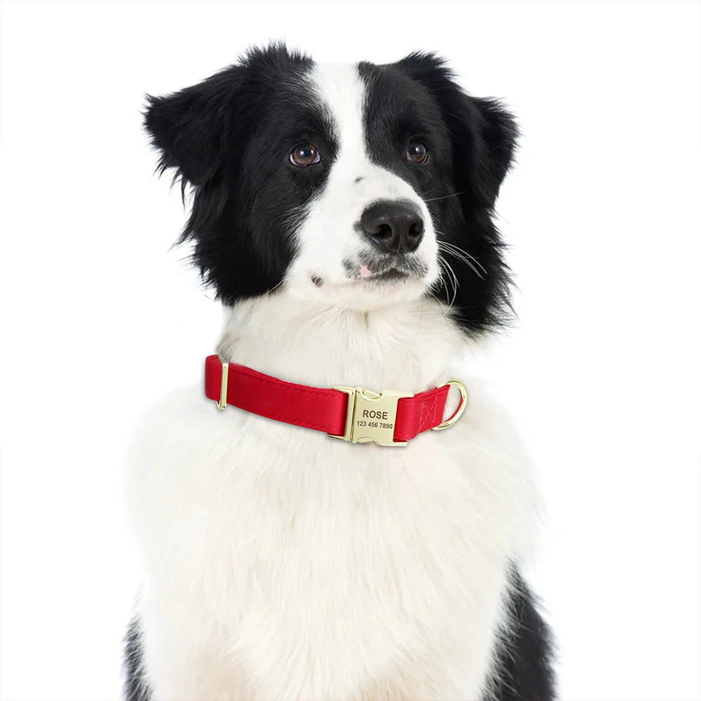 Engraved Dog Collar – Personalized ID Tag for Dogs & Cats (XS–L)