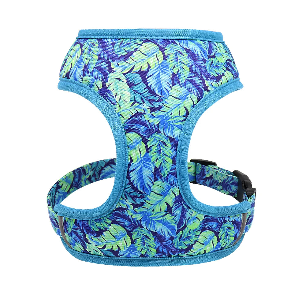 Cute Printed Dog Harness & Leash Set – Soft Mesh Adjustable Vest for Small & Medium Dogs & Cats (Chihuahua, Yorkie, Pug, Bulldog, Kitten)