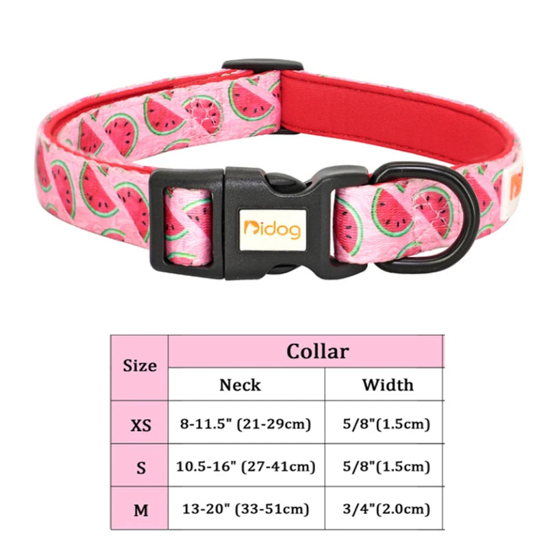 Nylon Custom Dog Collar & Leash Set with Personalized Leather Nameplate – Adjustable ID Tag for Small, Medium & Large Dogs