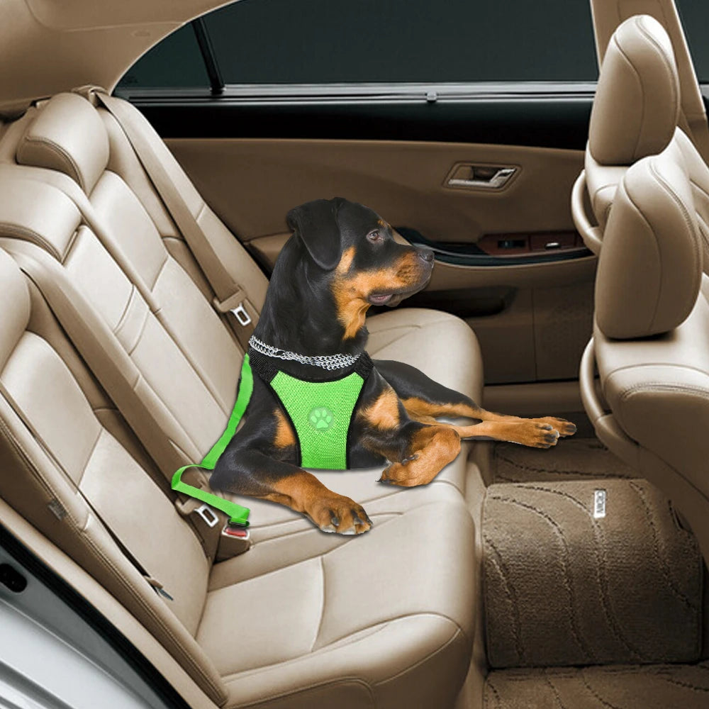 Nylon Breathable Mesh Dog Car Harness – Adjustable Safety Vest with Leash & Seatbelt for Medium & Large Dogs