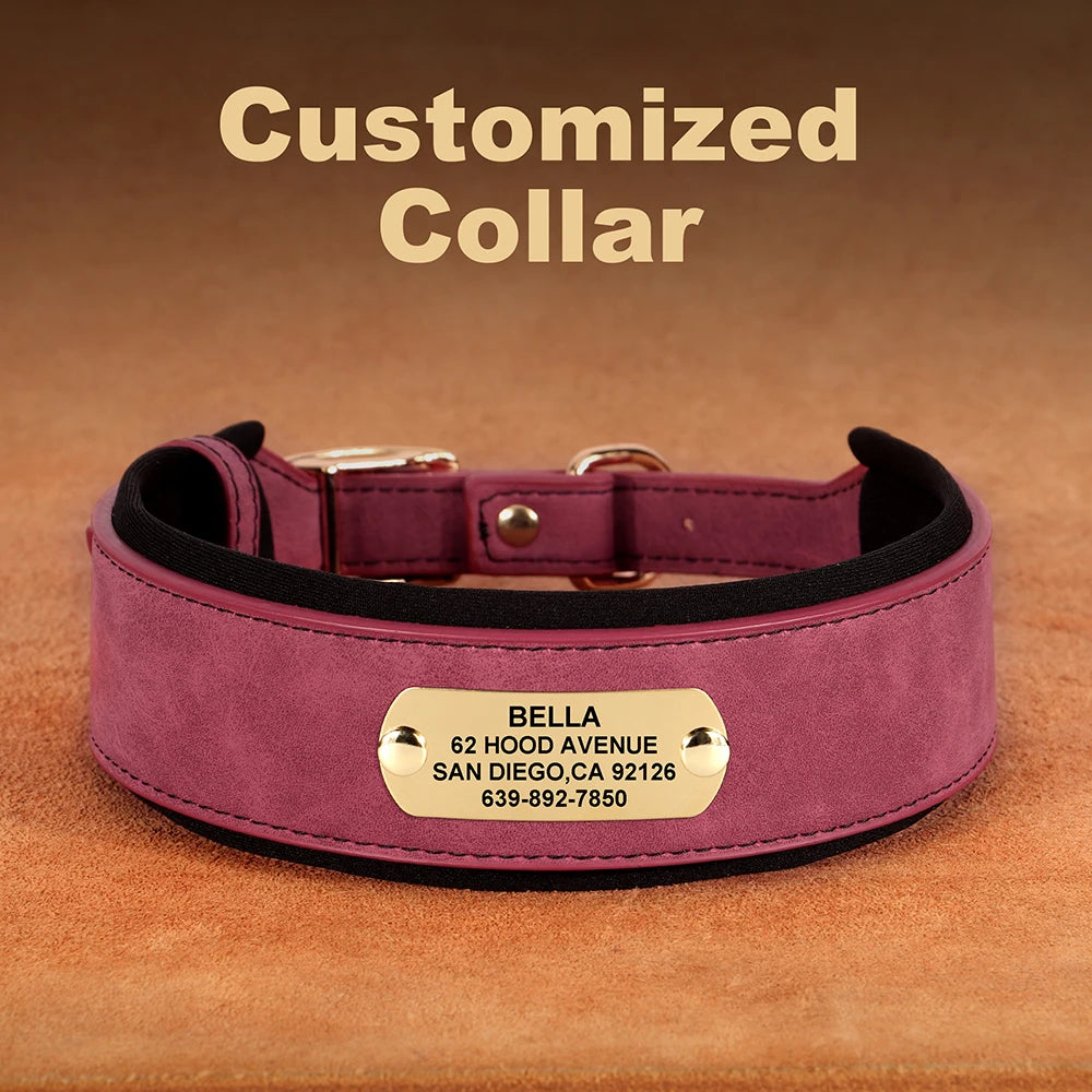 Customized Engraved Wide Leather Dog Collar – Soft Padded for Medium & Large Dogs