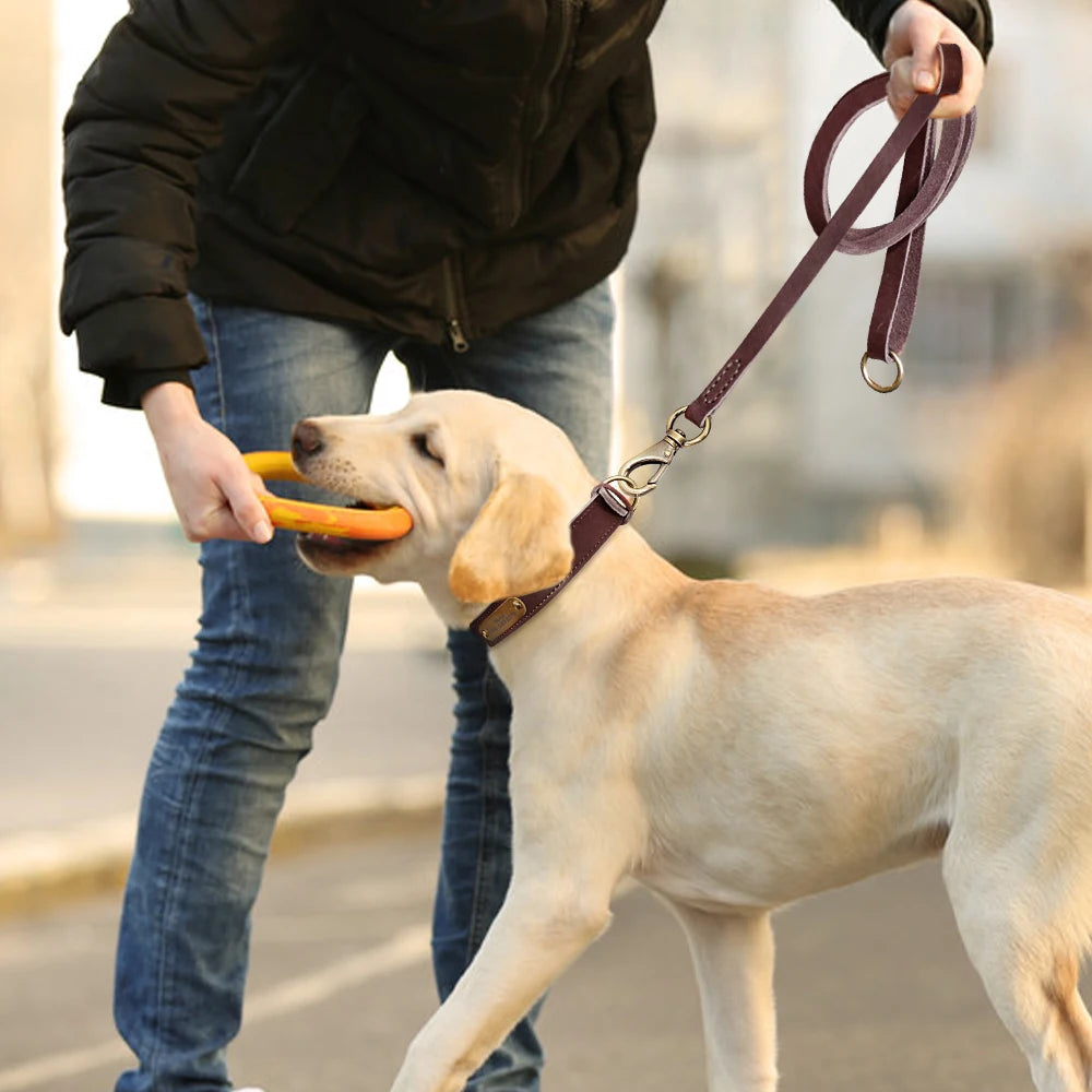 🦴 Custom Leather Dog Collar & Leash Set — Personalized for Safety & Style 🐾