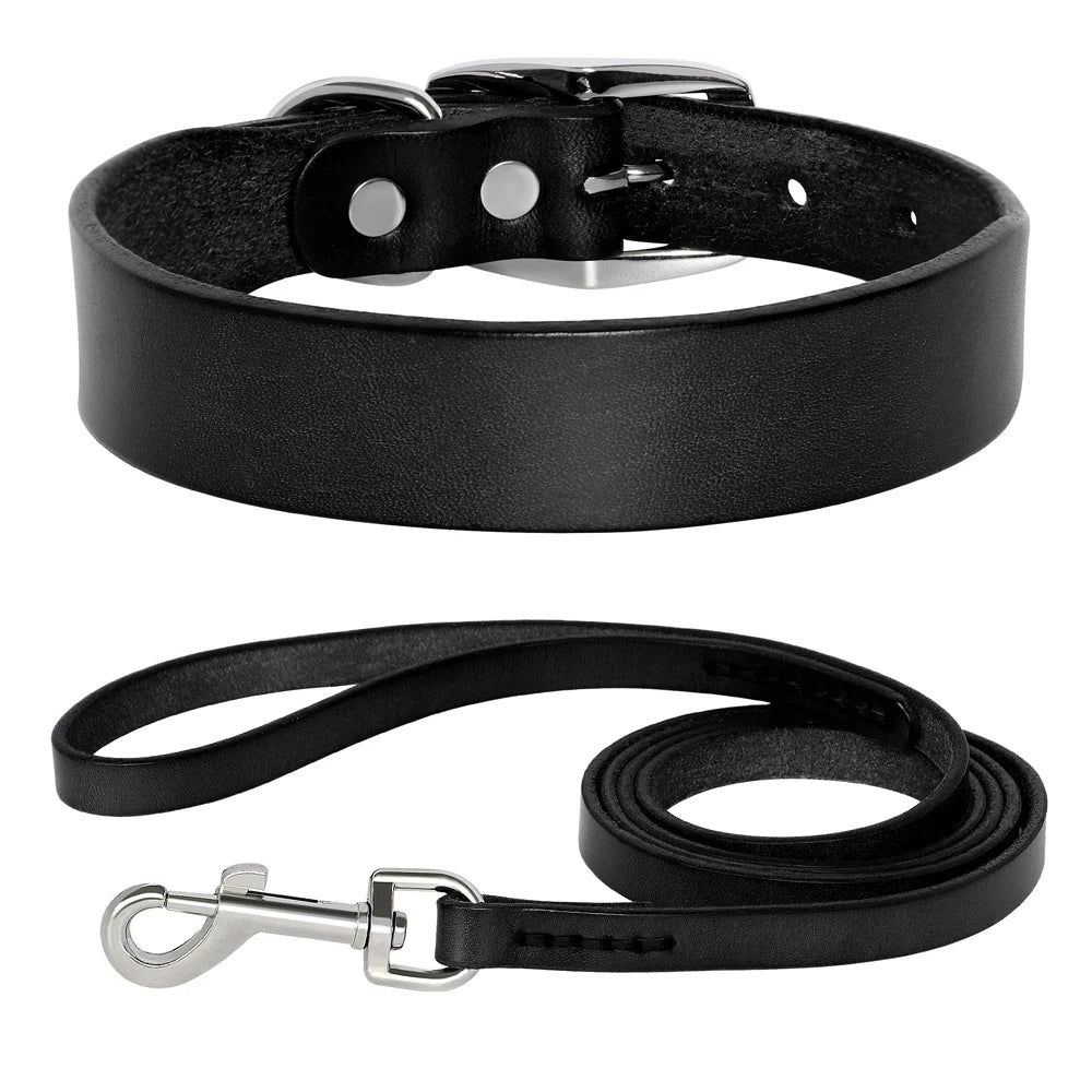 Genuine Leather Dog Collar & Leash Set – Adjustable for Small, Medium & Large Dogs and Cats (XS–XL)