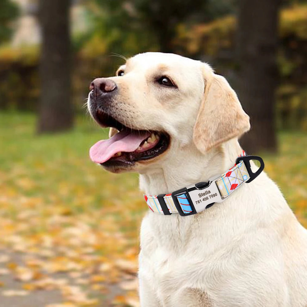 Personalized Nylon Dog Collar with Engraved Nameplate – Custom ID Tag for Small, Medium & Large Dogs