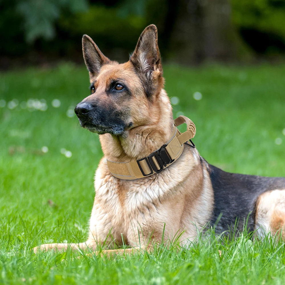 Tactical Dog Collar & Leash Set – Adjustable, Durable Nylon for Medium & Large Dogs