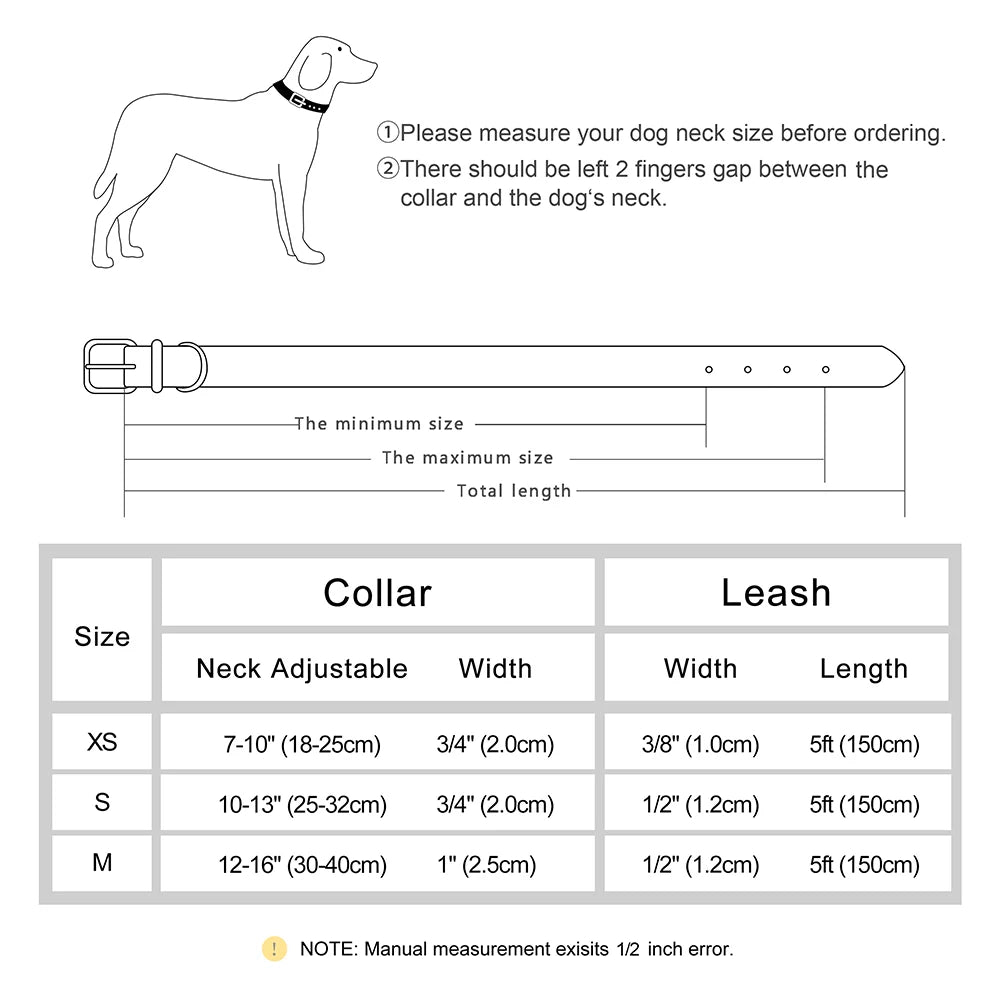 Genuine Leather Bling Collar & Leash Set – For Small & Medium Pets