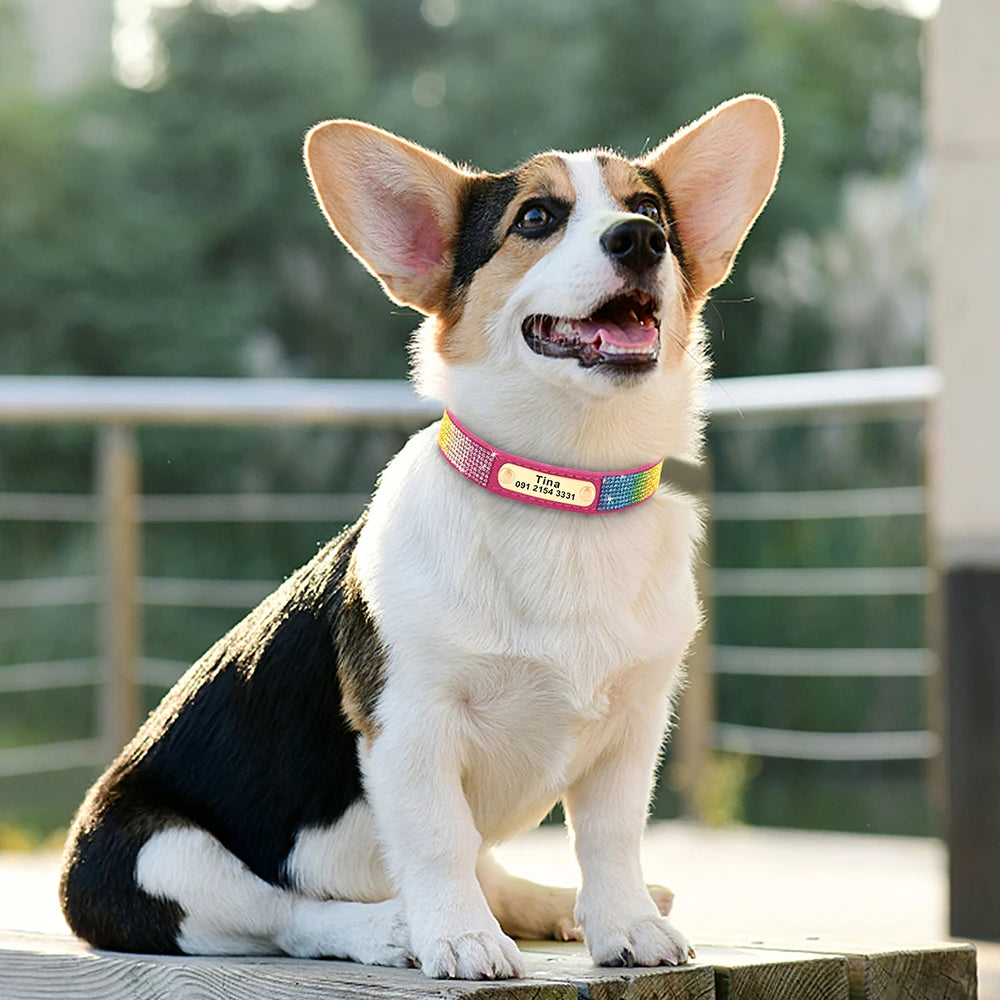 ✨ Personalized Bling Dog Collar – Sparkle, Style & Safety ✨