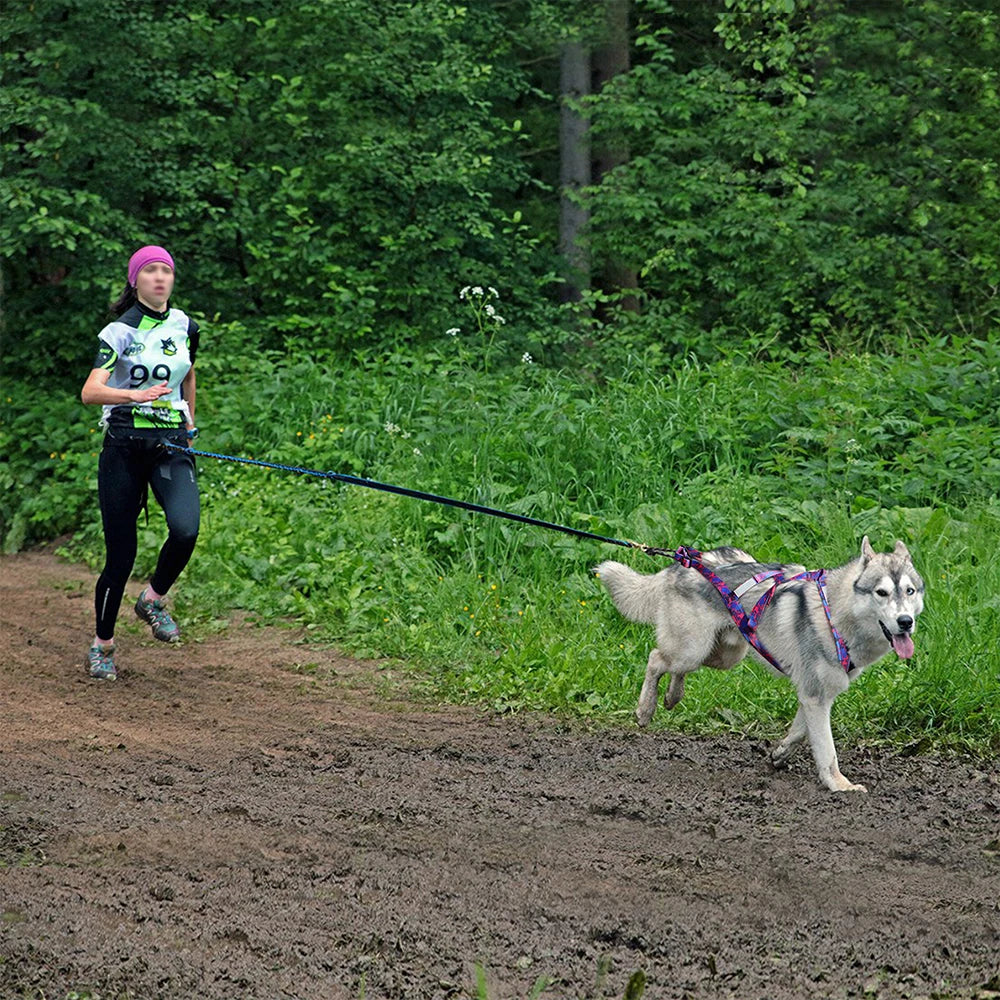 Big Dog Sledding Harness – Reflective X-Back Weight Pulling Harness for Medium & Large Dogs (Husky, Canicross, Skijoring, Bikejoring, Scootering)