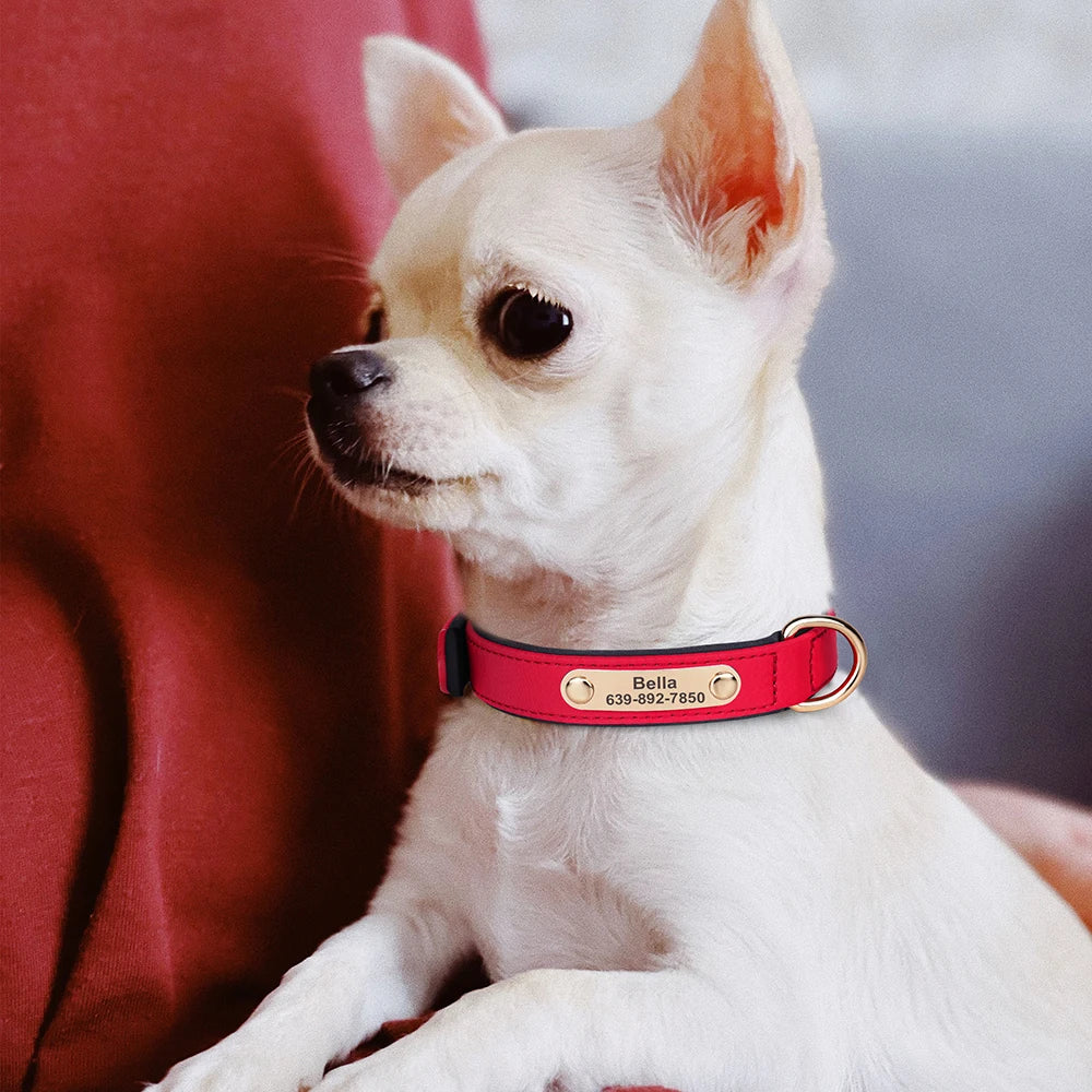 Custom Nylon Dog Collar – Waterproof Personalized Pet Collar with Engraved ID Nameplate for Small & Medium Dogs