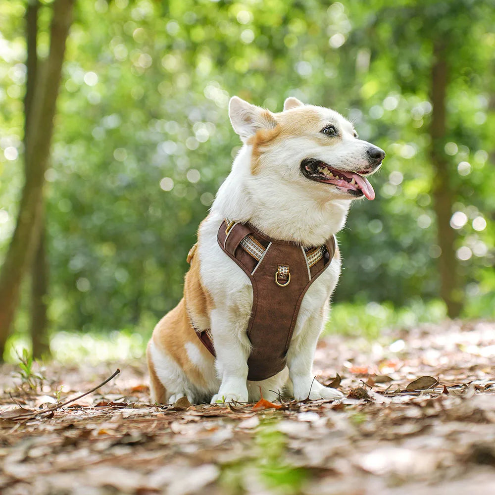 Waterproof Dog Harness – Reflective Nylon Harness Vest for Dogs