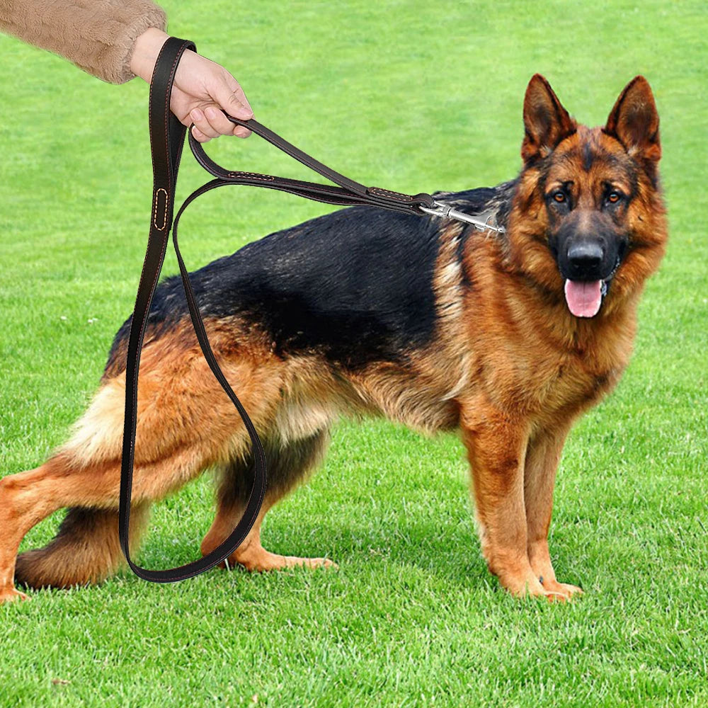 Genuine Leather Dog Leash – Double Handle Training & Walking Lead for Medium & Large Dogs