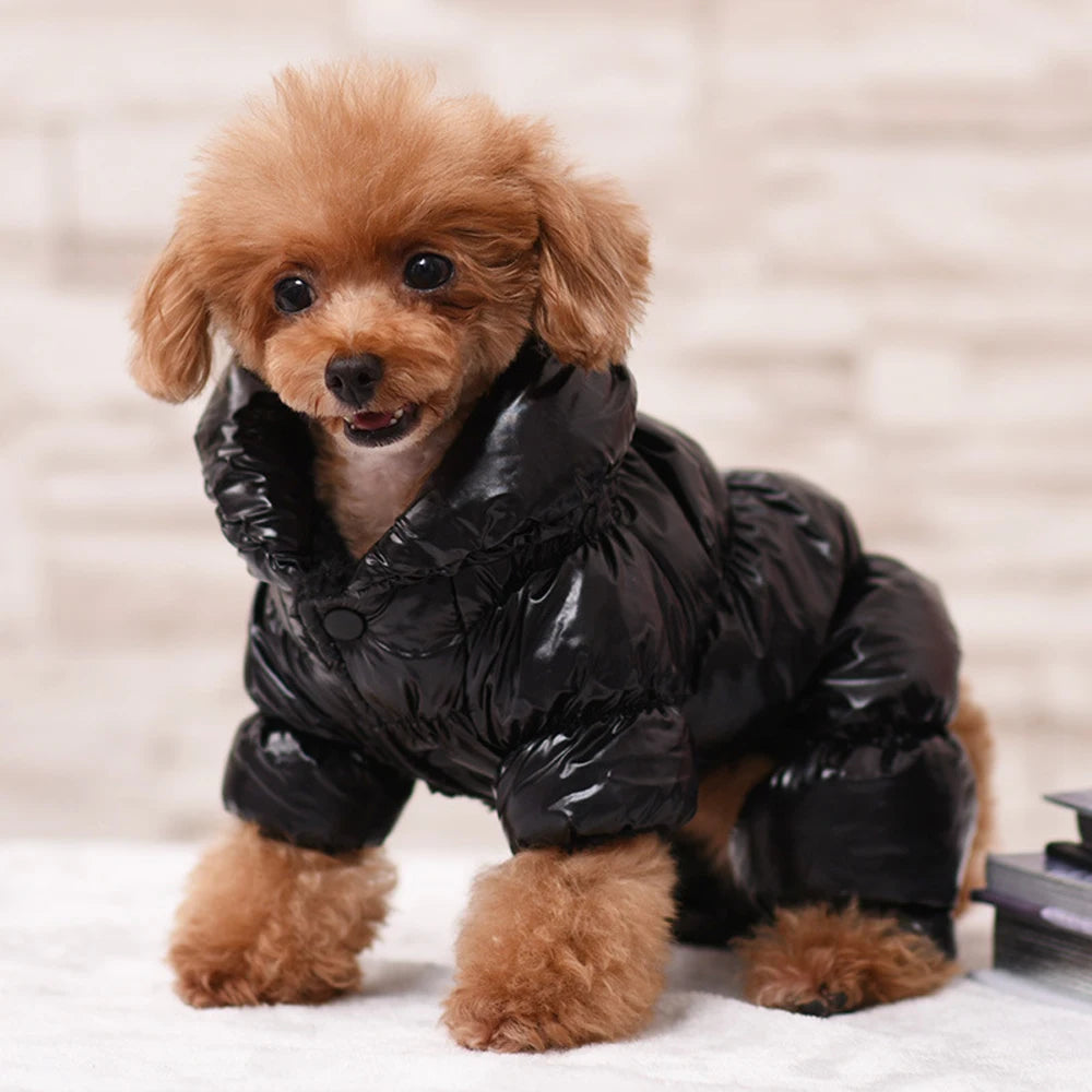 Warm Dog Clothes for Small & Medium Breeds - Winter Pet Puppy Coat Jacket