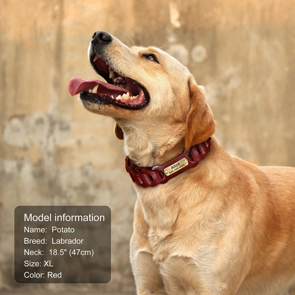 Custom Engraved Leather Dog Collar – Personalized Nameplate for Medium & Large Dogs