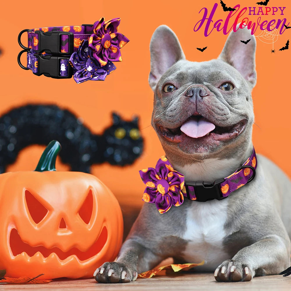 Halloween Nylon Dog Collar with Flower – Adjustable Pumpkin Pet Collar for Small Medium Large Dogs